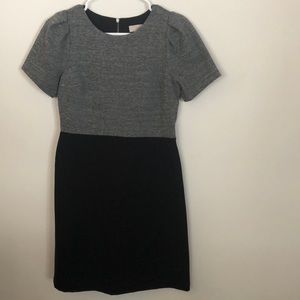NWT Loft puff sleeve business dress